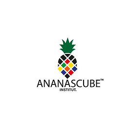 ananas institut.png