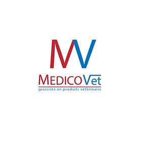 logo-portfolio-graphic-designer-design-g